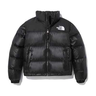 (Women) TNF Black Logo Print High-Neck Puffer Jacket NJ1DN82A