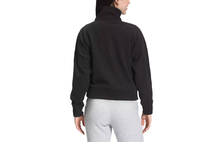 (Women) TNF Casual Sports Microfleece Jacket with Stand Collar NF0A5GE9-KS7 圖 3