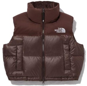 (W) 北面拼色标志印花拉链马甲棕色 NV1DP80L Buy (W) 北面拼色标志印花拉链马甲棕色 NV1DP80L