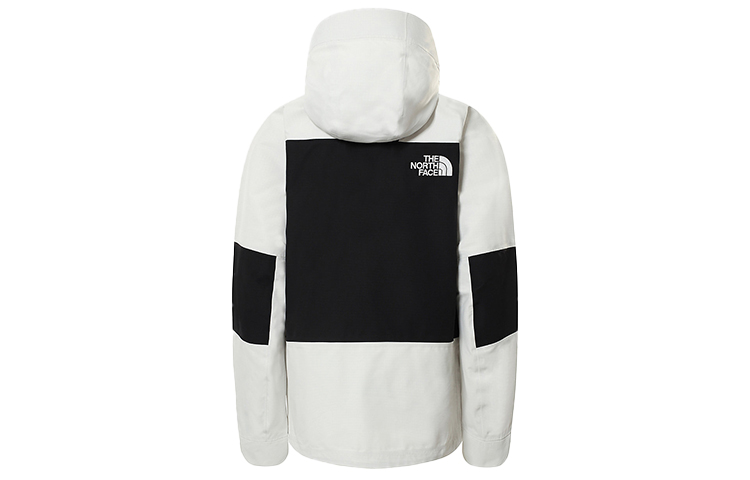 Lookbook (W) The North Face DryVent 防水防風透氣滑雪外套 - 白色 NF0A5G9H-14T