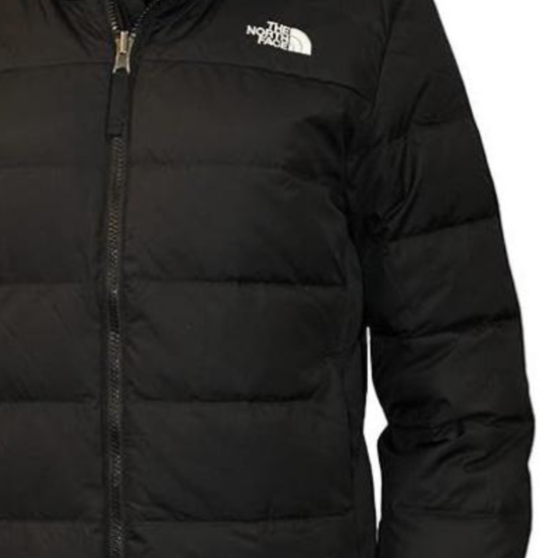 Shop (Women) The North Face Flare 2 Black Logo Letter Stand Collar Jacket NF0A55XB-JK3