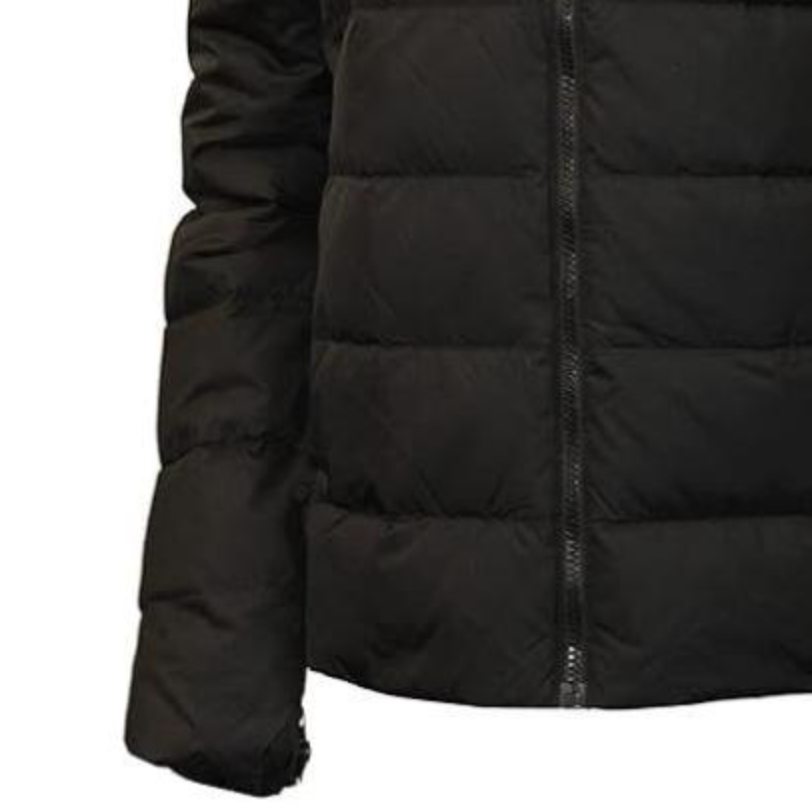 Purchase (Women) The North Face Flare 2 Black Logo Letter Stand Collar Jacket NF0A55XB-JK3