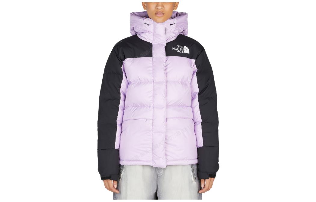 (Women) TNF Outdoor Quilted Lightweight Hooded Down Jacket Black Purple NF0A4R2W-HCP