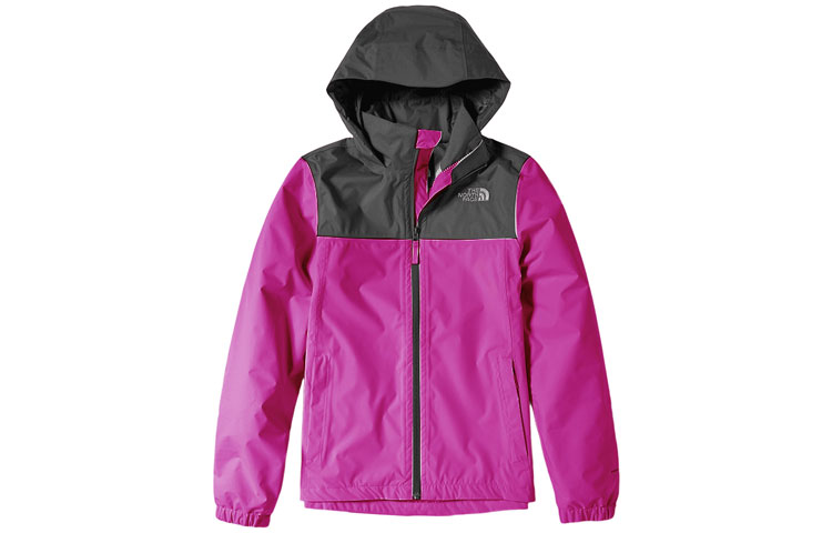 (Women) TNF Purple Waterproof Breathable Packable Hooded Jacket NF0A49F8-1XV