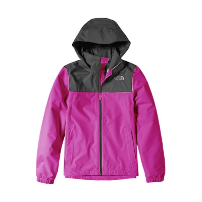 (Women) TNF Purple Waterproof Breathable Packable Hooded Jacket NF0A49F8-1XV