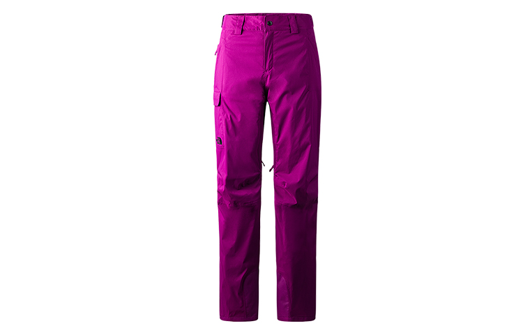 (Women) The North Face Purple Waterproof Insulated Track Pants NF0A5ACY-GP5
