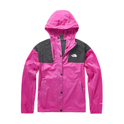 (Women) TNF Ultralight UV Protection Outdoor Jacket - Purple NF0A4973-ZDN