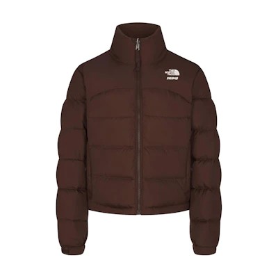 (Women) TNF Skims FW24 Brown Nuptse Ski Jacket NFOA82Z5-I3U