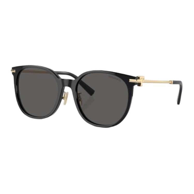 (Women) TIFFANY & CO.  Black Irregular Acetate Sunglasses with Logo. 0TF4224D8001S4