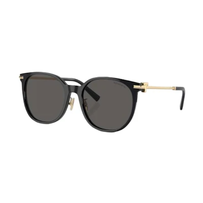 (Women) TIFFANY & CO. Black Irregular Acetate Sunglasses with Logo. 0TF4224D8001S4