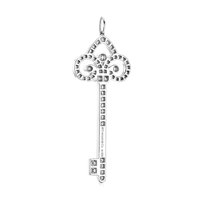 (Women) TIFFANY & CO. Brilliant Pendant Silver Necklace GRP09485
