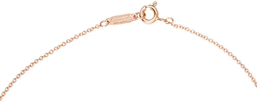 (W) TIFFANY & CO. 鑰匙 Iris 花鑰匙吊墜 18K 玫瑰金項鍊 GRP11366 Purchase (W) TIFFANY & CO. 鑰匙 Iris 花鑰匙吊墜 18K 玫瑰金項鍊 GRP11366