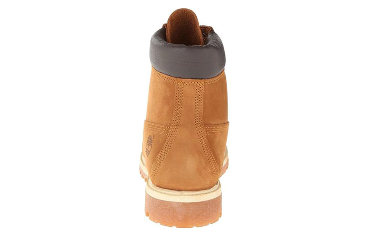Purchase (W) Timberland Stivali 6 Pollici Premium ''Wheat'' 019AC5AB