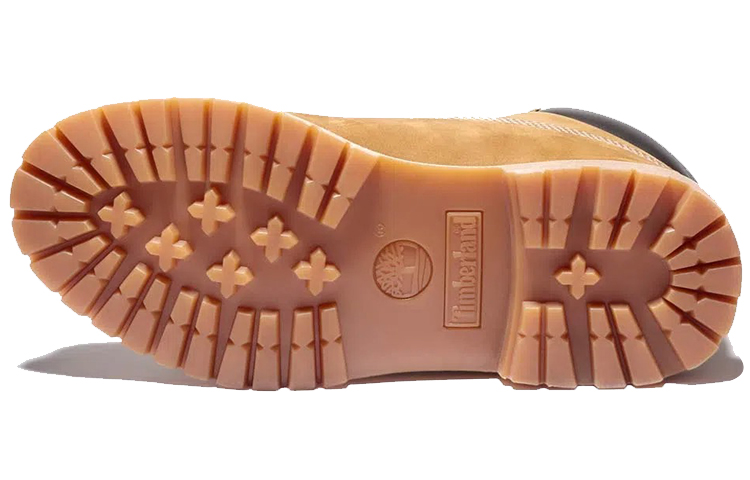 (W) Timberland 6-Inch PRM Waterproof Boot 'Dark Brown' 圖 5