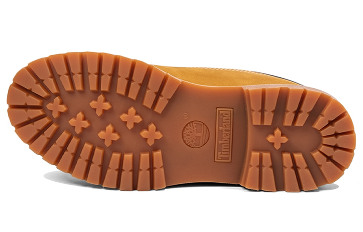 (W) Timberland 6 Inch Waterville Double Collar 'Wheat' 圖 6