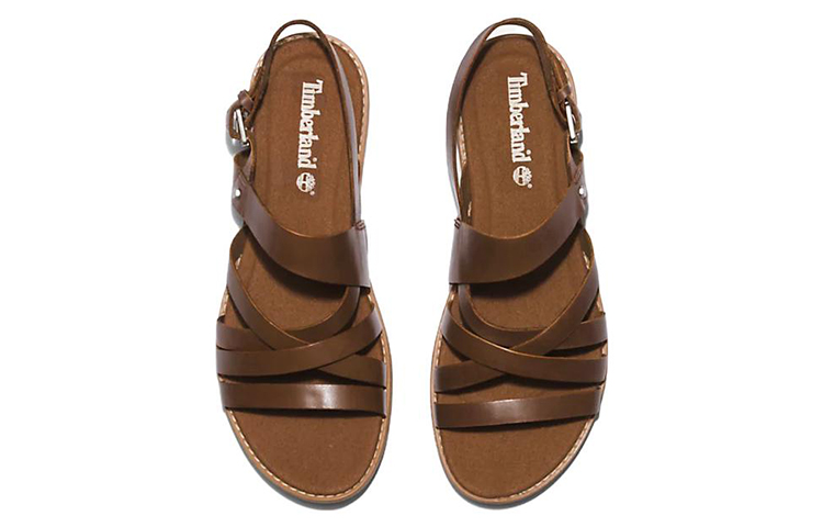 Shop (Women) Timberland Chicago Riverside 'Comfort Casual Sport Sandal Brown' A5MF5K31