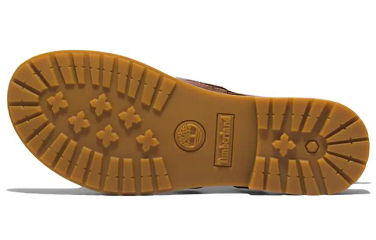 Details for (Women) Timberland Chicago Riverside 'Comfort Casual Sport Sandal Brown' A5MF5K31