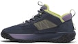 Buy (W) Timberland Low-Top 'Biru Ungu' A645REP2