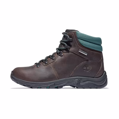 (W) Timberland Maddsen Waterproof Hiking Boots 'Chestnut Brown'