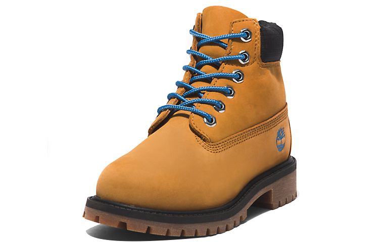 Lookbook (Women) Timberland Premium 6 Inch 'Brown Black' A5T51231