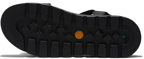 Details for (Women) Timberland Ray City Sandal 'Black' A2F2J015