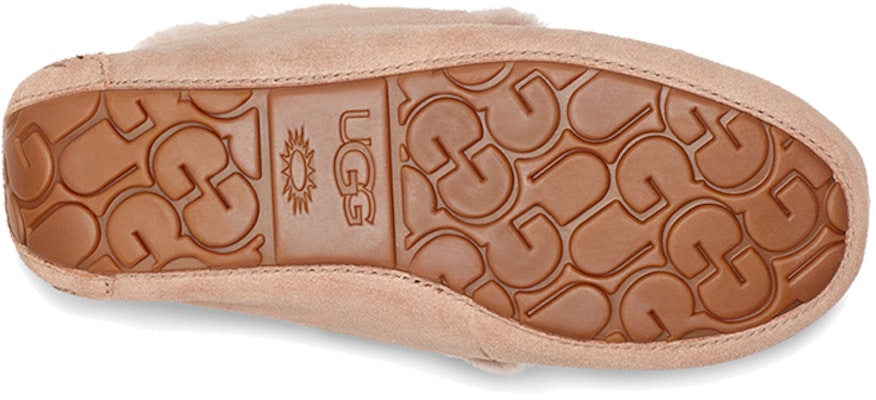 (W) UGG アレーナ ライトブラウン 1112278-CRBO Details for (W) UGG アレーナ ライトブラウン 1112278-CRBO