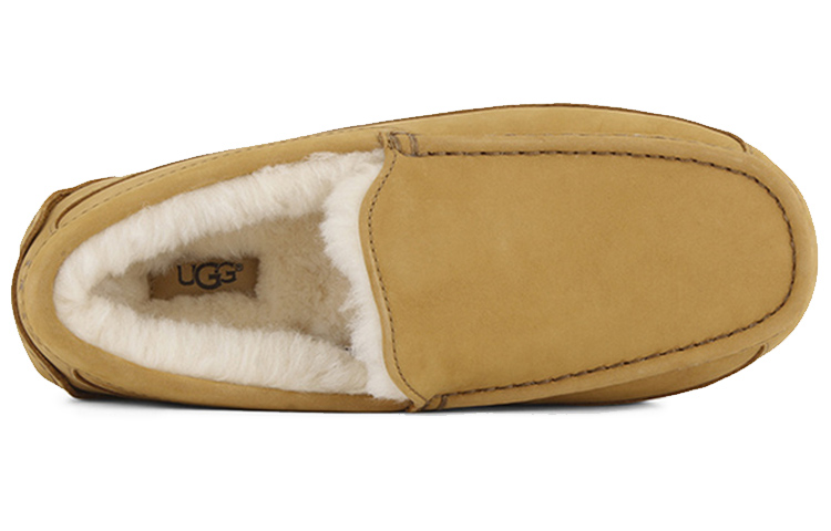 Lookbook (W) UGG Ascot 'Coklat Kuning' 1013524-WHE
