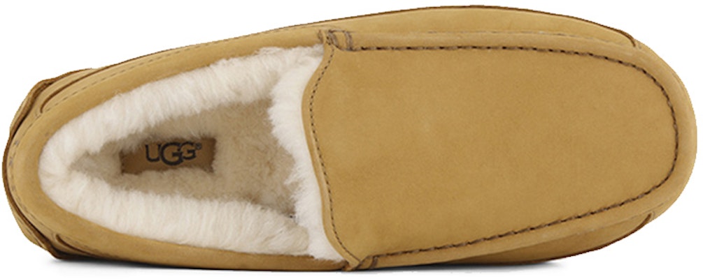 (W) 어그 아스콧 '커피 옐로우' (UGG Ascot '커피 옐로우') 1013524-WHE Lookbook (W) 어그 아스콧 '커피 옐로우' (UGG Ascot '커피 옐로우') 1013524-WHE