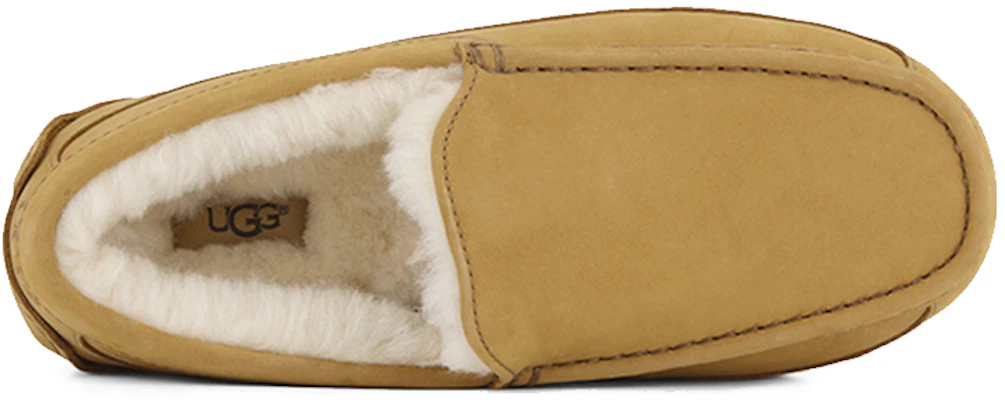 (W) UGG Ascot 'Café Amarillo' 1013524-WHE Lookbook (W) UGG Ascot 'Café Amarillo' 1013524-WHE