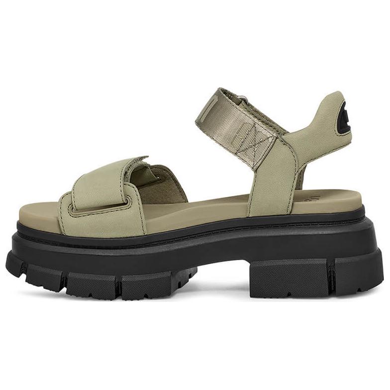 (Women) UGG Ashton Ankle Sandal Shaded Clover 1136764-SDC