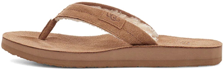 women-ugg-avalon-slide-chestnut-1117290-ctsd