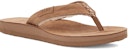 (W) UGG Avalon Slide 'Chestnut' Warna Coklat Kacang. 1117290-CTSD