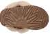 (W) UGG Bailey Button But Salji Coklat 5803W-CHE