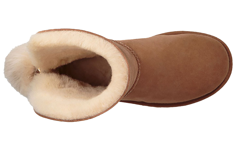Shop (W) UGG クラシック ブリング チャーム ブーツ (チェスナット) 1095717-CHE