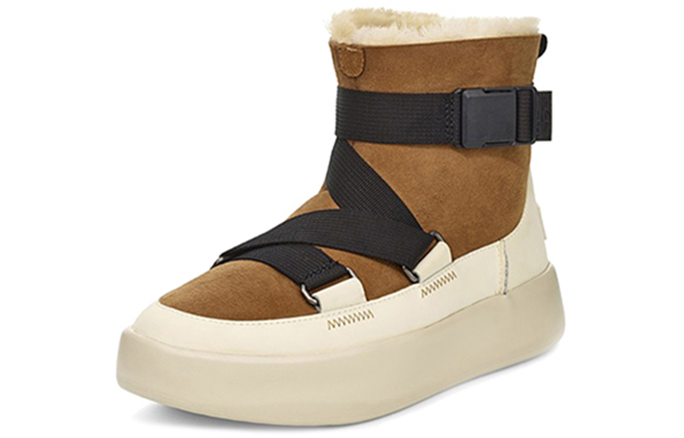 (W) UGG Classic Boom Buckle Brown 圖 3