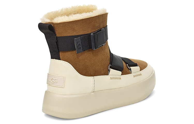 (W) UGG Classic Boom Buckle Brown 圖 4