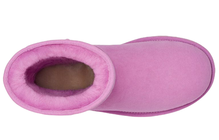 Shop (W) But UGG Kasut But Klasik 1016223-WDF