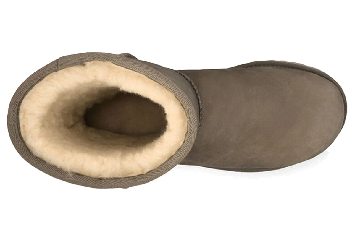 Purchase (W) UGG 클래식 숏 레더 부츠 1006594-FEA