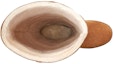 Purchase (W) UGG Classic Femme Otk Cozy Wanita舒适款 1104610-CHE