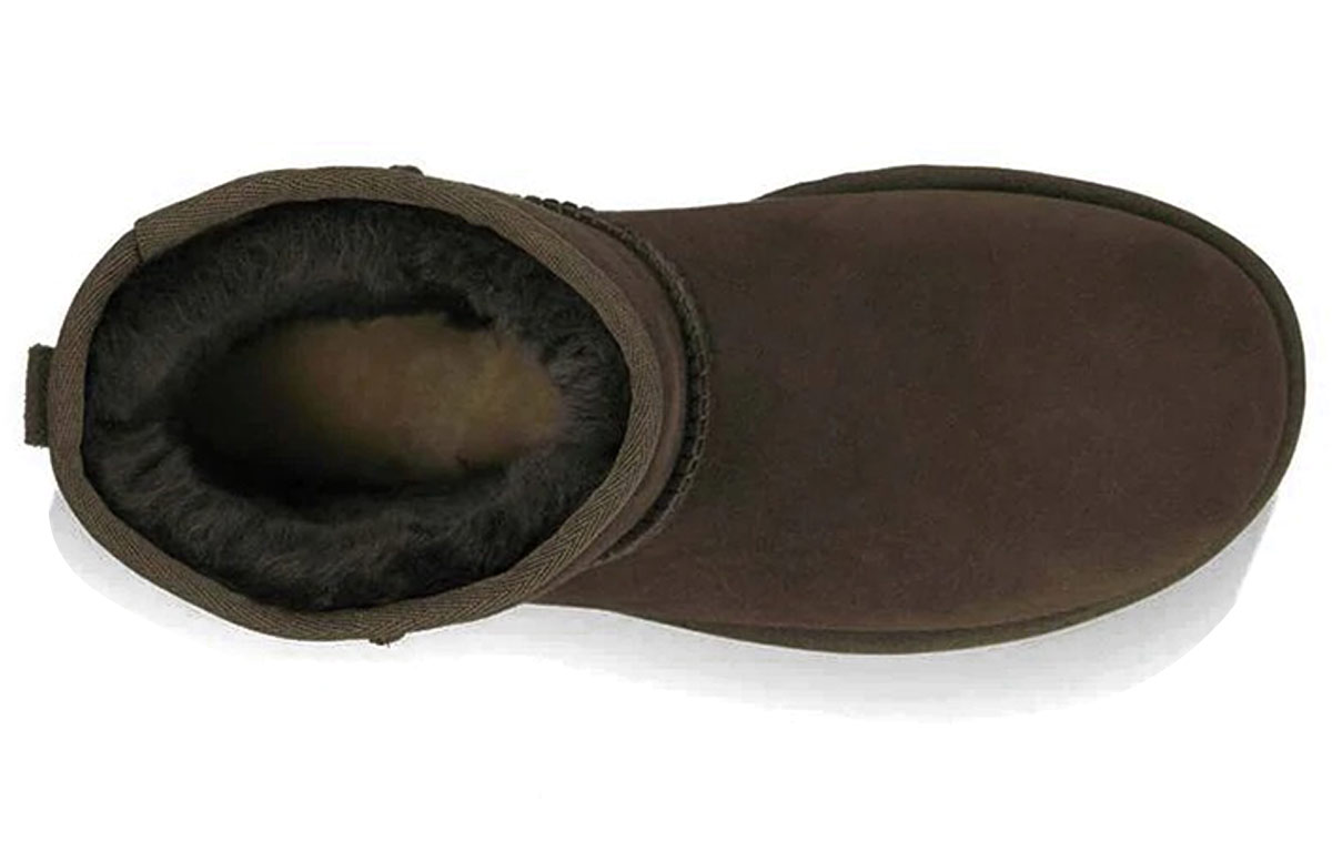 Purchase (W) UGG 经典迷你款 '棕色' 5854-CHO