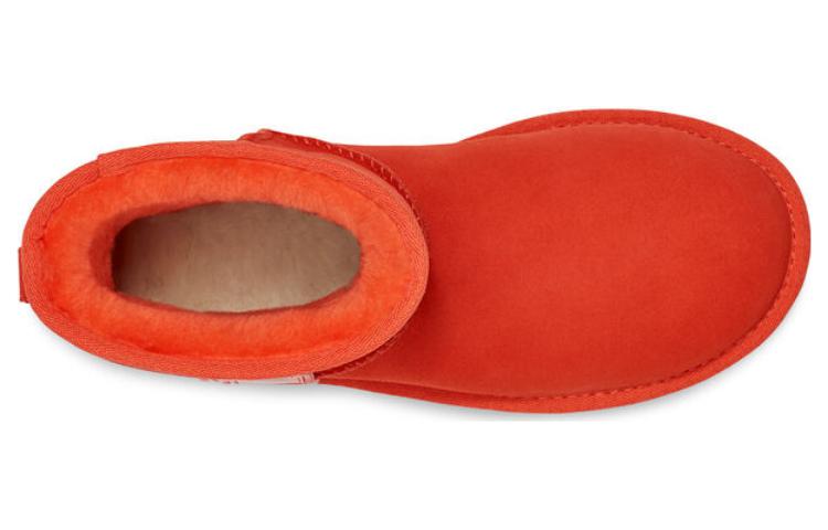 Shop (W) UGG Classic Mini II Boot Logo Sisi Jingga Hazard 1134962-HONG