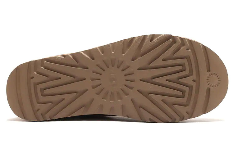 Details for (W) 어그 클래식 미니 사이드 로고 부츠 체스트넛 1122558-CHE