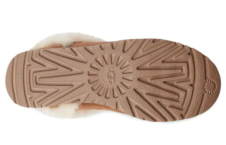 Details for (Women) UGG Classic Mini Snow Boots Brown 1112499-CHE