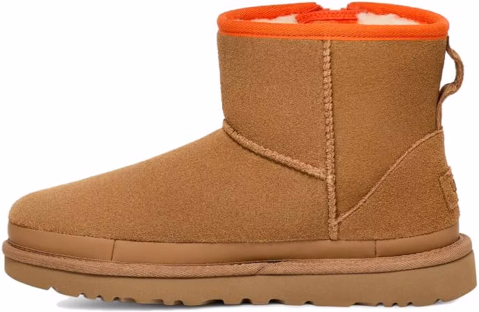 women-ugg-short-boot-with-zip-brown-suede-1144034-che