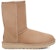 (Women) UGG Classic Short II Boot Beachwood 1016223-BCHW