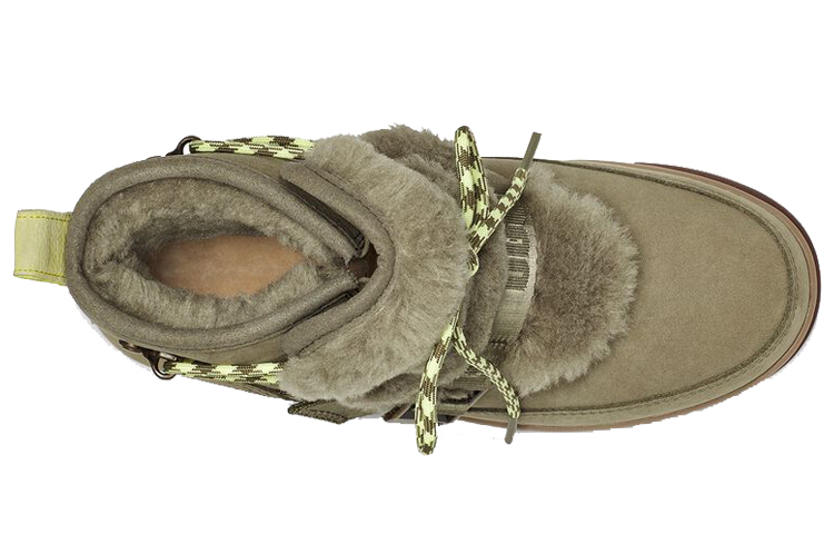 Shop (W) UGGクラシックウェザーハイカー 1112477-BTOL