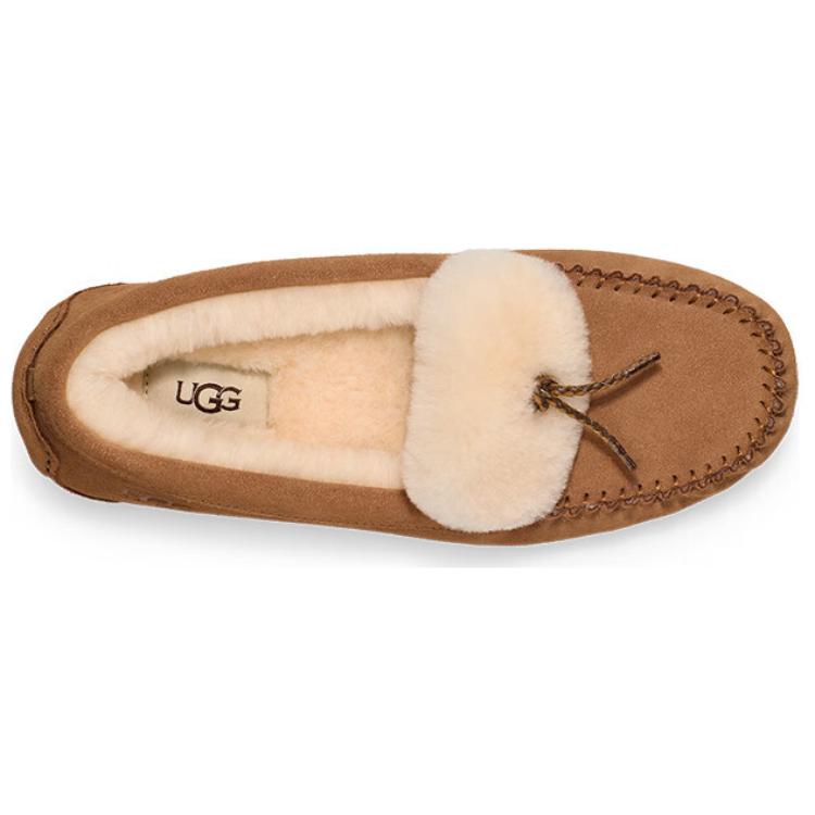 Shop (W) UGG Dakota Shearling Braid Castaño 1166754-CHE