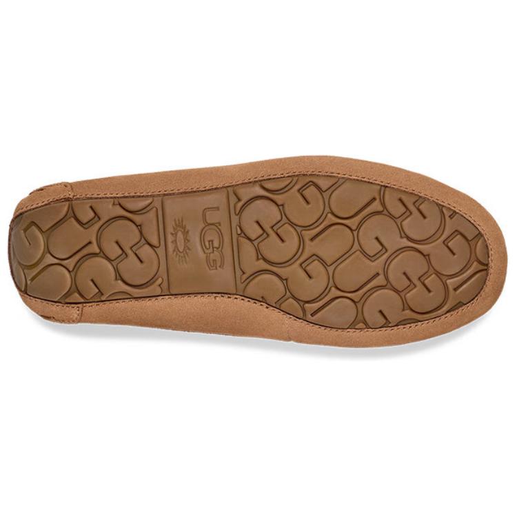 Purchase (W) UGG Dakota Shearling Braid Castaño 1166754-CHE