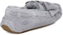 (W) Selipar Busur Suede UGG Dakota 'Grey Geyser' 1106552-GYS