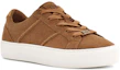 Lookbook (W) UGG Dinale 'Chestnut Suede' Kasut Kulit Baldu Coklat 1121610-CTSD